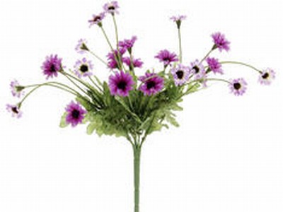 Picture of  FBD515-PU-TT 10.5 in. Two Tone Purple Daisy Bushes X5- Case of 24