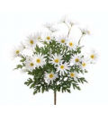 FBD612-WH 19 in. White Daisy Bush X12- Case of 12