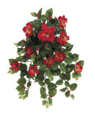 Picture of  FBH216-RE-TO 26 in. Tomato Red Hibiscus Hanging Bushes X13- Case of 4