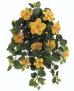 Picture of  FBH216-YE 26 in. Yellow Hibiscus Hanging Bushes X13- Case of 4