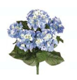 Picture of  FBH335-BL 22 in. Blue Hydrangea Bush X5- Case of 6