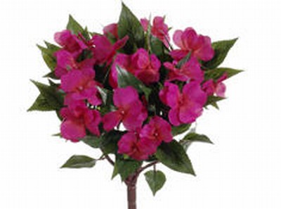 Picture of  FBI633-BT 13.7 in. New Guinea Impatiens Bushes Beauty- Case of 6