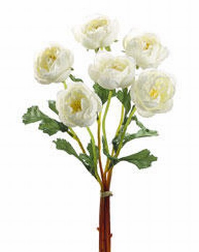 Picture of  FBR963-CR 12 in. Cream Ranunculus Bundle X6- Case of 12