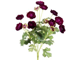 Picture of  FBR995-VI 13 in. Mini Violet Ranunculus Bush X5- Case of 12