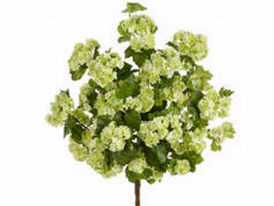 Picture of  FBS321-GR 20 in. Green Snowball Bush X9- Case of 12