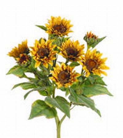 Picture of  FBS456-YE 22 in. Yellow Sunflower Bush X9- Case of 4