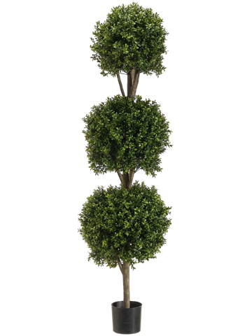 Picture of  LPB275-GR-TT 5 ft. Triple Ball Boxwood TopTwo-tone Green- Case of 1