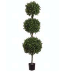 Picture of  LPB276-GR-TT 6 ft. Tri Ball Boxwood Top Two Tone Green- Case of 1