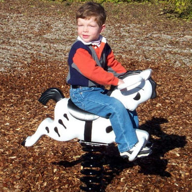 Picture of Sport Play 361-503 Zebra Spring Rider