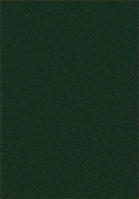 Endurance Forest 12 ft. x 8 ft. Polyester Machine Tufted- Cut Pile Simply Solids Rug