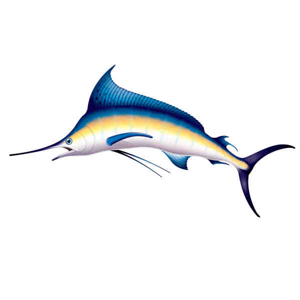 Picture of Beistle 52302 Marlin Party-Prop - Pack of 6
