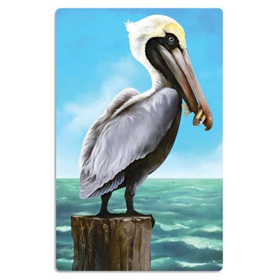 Picture of Beistle 54377 Pelican Cutout - Pack of 24