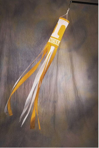 Picture of Bsi Products 79001 Wind Socks  - Tennessee Volunteers
