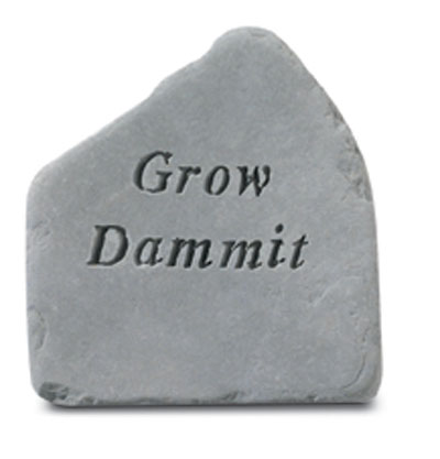Picture of Kay Berry 81220 8&quot; x 8.5&quot; Grow Dammit Garden Stone
