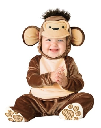 Picture of Costumes For All Occasions Ic16002T Mischievous Monkey Todd 18-24