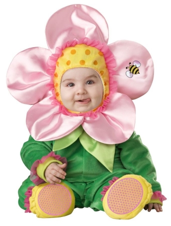 Picture of Costumes For All Occasions Ic6013Ts Baby Blossom Toddler 12-18 Mos