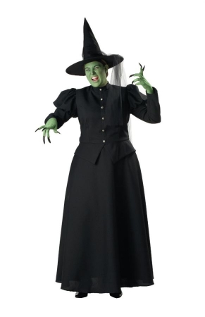 Picture of Costumes For All Occasions Ic5011Xxl Wicked Witch 2Xl
