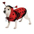 Costumes For All Occasions Ru885923Md Pet Ladybug Costume Medium Costumes For All Occasions Ru885923Md Pet Ladybug Costume Medium
