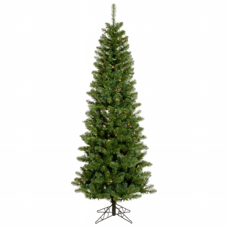 6.5 ft. x 32 in. Salem Pencil Pine 493Tips