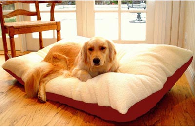Picture of Majestic Pet 788995651413 30x40 Medium Rectangle Pet Bed- Red