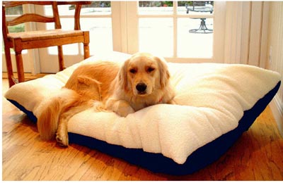 Picture of Majestic Pet 788995651420 30x40 Medium Rectangle Pet Bed- Blue