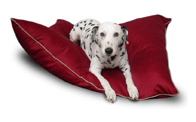 Picture of Majestic Pet 788995654643 35x46 Large Super Value Pet Bed- Burgundy