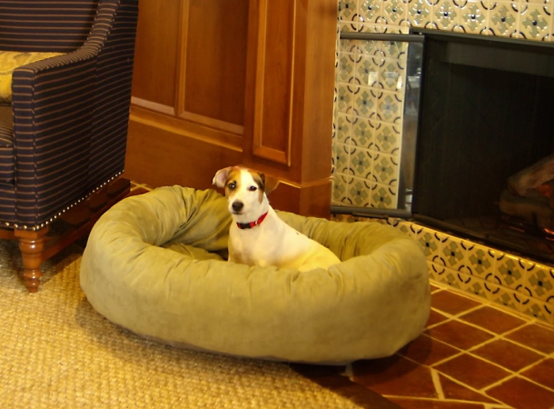 Picture of Majestic Pet 78899567502 52 in. Bagel Dog Pet Bed Suede Rust