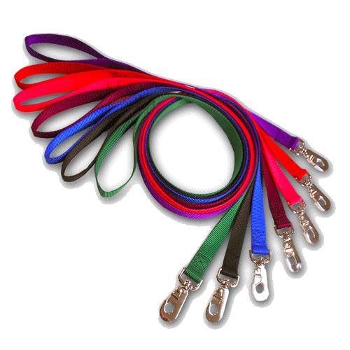Majestic Pet 788995216032 1 in. x 6 ft. Lead Purple