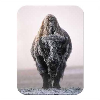 Picture of McGowan TT99811 Tuftop Buffalo-Ghost of the Plains Cutting Board- Small