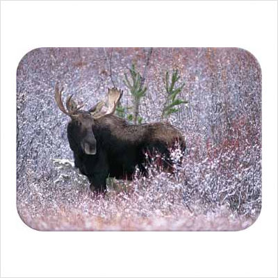 Picture of McGowan TT99881 Tuftop Christmas Moose Cutting Board- Small