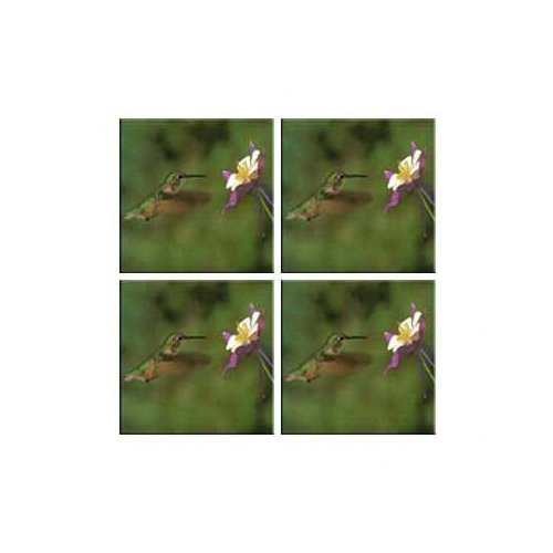 Picture of McGowan TT99820 Tuftop Hummingbird and Columbine Coasters Set of 4