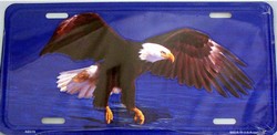 LP-553 Eagle on Water License Plate- AB019
