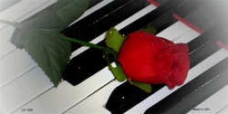 Picture of LP-1335 Piano Keys and Red Rose License Plates Tags