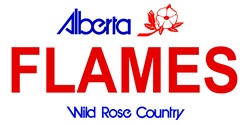 LP-2065 Alberta Canada Province Background License Plates- Flames