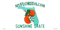 LP-2224 Florida State Background Blanks Flat- Automotive License Plates Blanks for Customizing