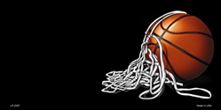 Basketball with Net Offset Flat License Plates Blanks for Customizing