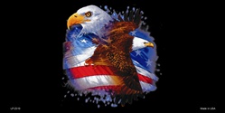American Pride and Eagle License Plates Blanks Tags