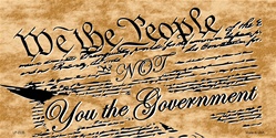 We The People- License Plates Blanks Tags