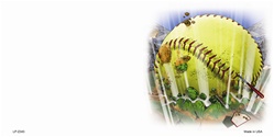 Softball- Offset Flat License Plates Blanks for Customizing