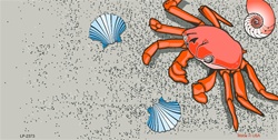 Crab and Seashells License Plates Tags