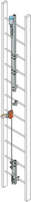 493VG30FT 30Ft ViGo System