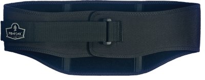 Pf Pf1500-Bk M Back Support
