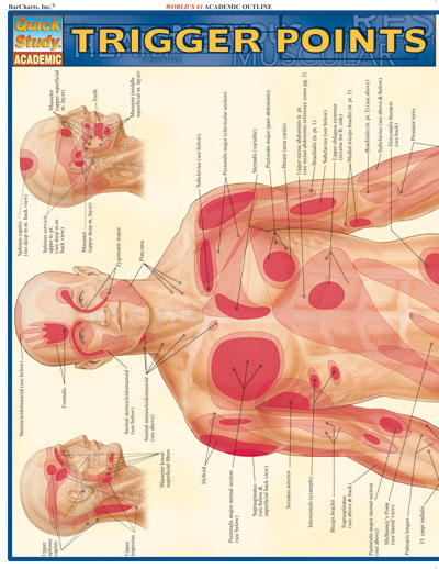 Picture of BarCharts- Inc. 9781423203162 Trigger Points