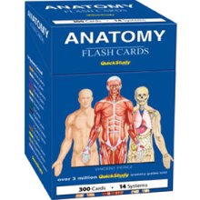 Picture of BarCharts- Inc. 9781423204237 Anatomy