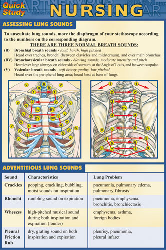 Picture of BarCharts- Inc. 9781572227613 Nursing