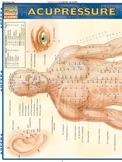 Picture of BarCharts- Inc. 9781572228399 Acupressure