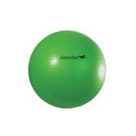 Picture of HORSEMEN S PRIDE 055042 Jolly Mega Ball