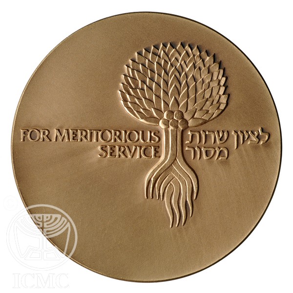 Meritorious Service - Bronze Medal