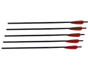 Picture of Barnett Crossbows BAR-16079 5 Pack of 22 Inch Arrows with Field Point