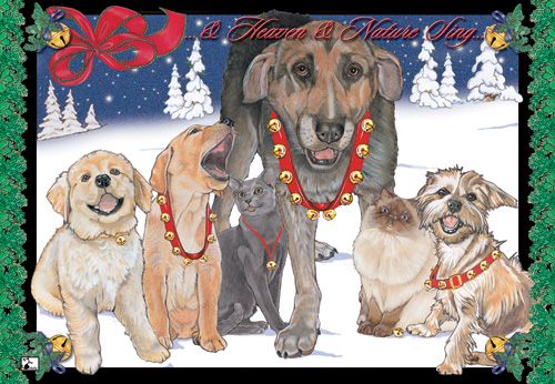 Picture of Pipsqueak Productions C400 Mix Dog With Cat Holiday Boxed Cards